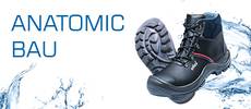 Anatomic Bau